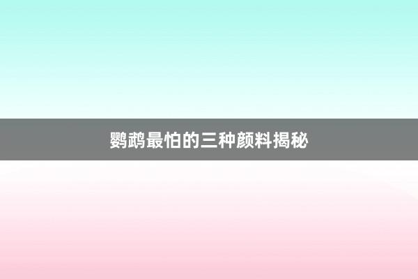 鹦鹉最怕的三种颜料揭秘