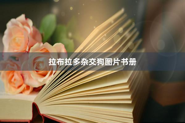 拉布拉多杂交狗图片书册